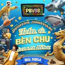 braba bet